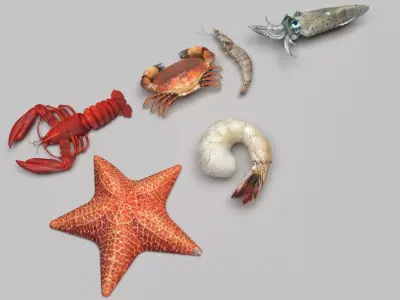 Sea Creatures Set 3D model