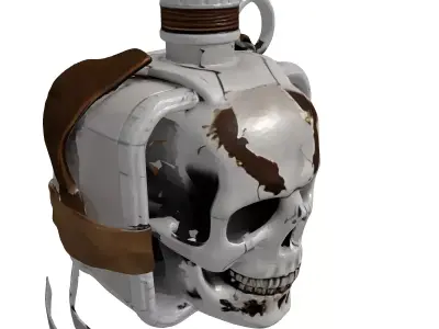 Grungy Skull Canteen Flask 3D model