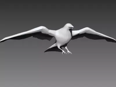 Crow base mesh for Zbrush 3D model