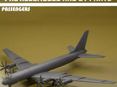 Tupolev Tu-114 Rossiya PASSENGERS 3D print model