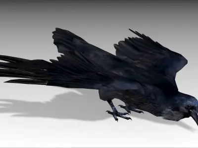 Raven Low-poly 3D model