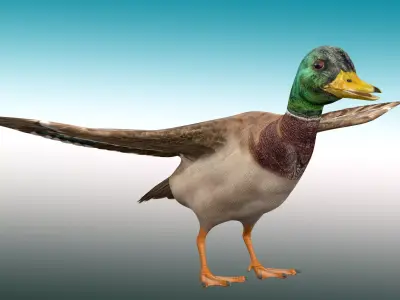 Duck  Rig Low-poly 3D model