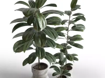 Indoor plant 04 Low-poly 3D model