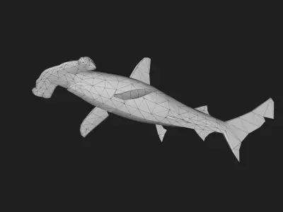 Shark Low-poly 3D model