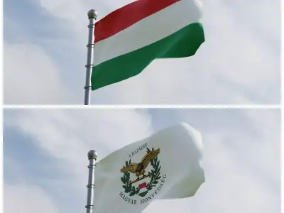 Animated Hungary Flags 3D model