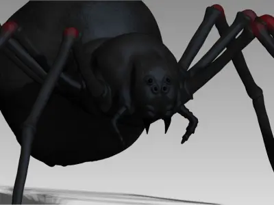 Black spider Low-poly 3D model