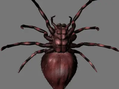 3D Modelnature animal creepy tarantula idle horror arachnid 3D model
