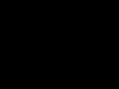 Leech Blood Cells In Segment 3D model