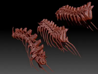 Dinosaur Spinosaurus Tyrannosaurus Giganotosaurus Neck Skeletons 3D model