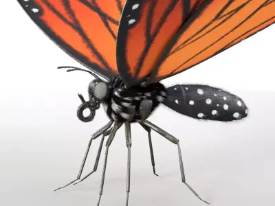 Butterfly Insect Low-poly 3D model