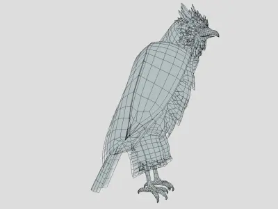 Harpy eagle Low-poly 3D model