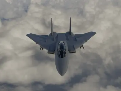 Grumman F-14 Tomcat Free 3D model