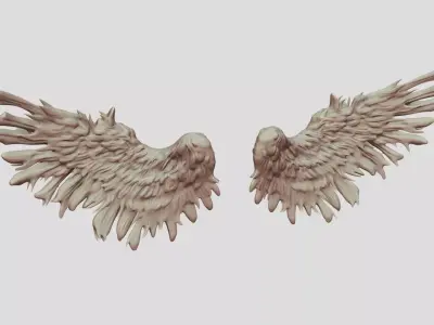 Feathered Bird or Angel Wings 3D model