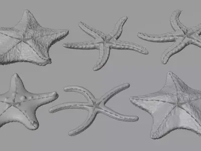 -Starfishes - Rigged Collection- 3D model