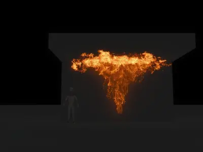 3D Wallfire Animation 3D model