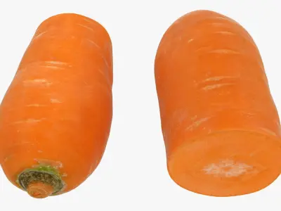 Half Carrot 3D model