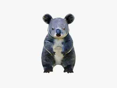 Koala Free 3D model purchase