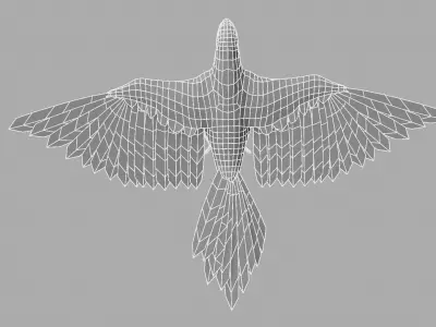 Parrot Macaw 3D model