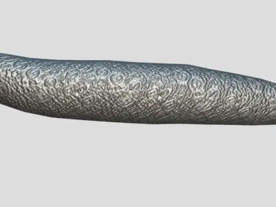 Sea Cucumber Realistic Animated Low-poly 3D model