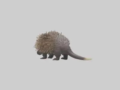 Porcupine hissing model Low-poly 3D model