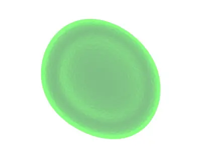 Leech Blood Cell 3D model