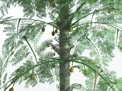 EVERYPlant Alethopteris Seed Fern 2 --12 Models-- 3D model