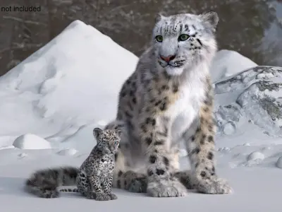 Snow Leopard Mother and Calf Fur 3D model purchase