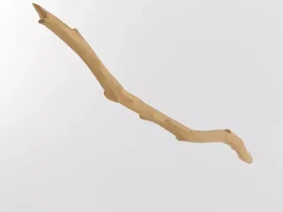 Wooden Stick Branch Staff Low Poly Game Ready asset Low-poly 3D model