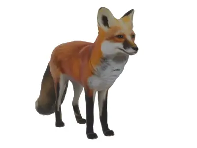 Red Fox Low-poly 3D model