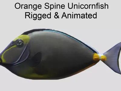 Orange Spine Unicornfish Realistic Animated Low-poly 3D model