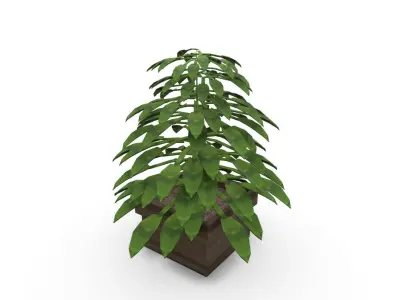 Plant Small SHC Quick Office LM Low-poly 3D model
