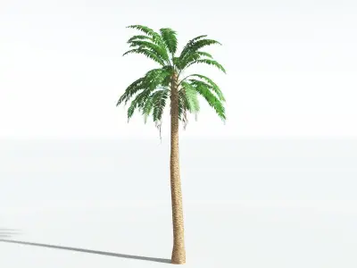 EVERYPlant African Oil Palm LowPoly 3 --16 Models-- Low-poly 3D model