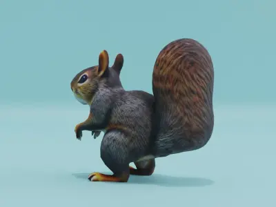 Squirrel realistic Rodent Free low-poly 3D model