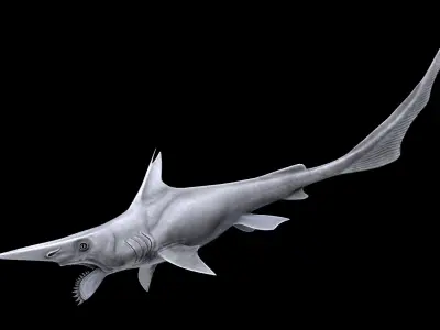 Helicoprion Asset Pack Low-poly 3D model