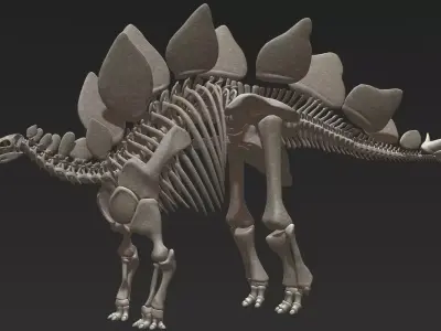 Stegosaurus Skeleton 3D 3D model