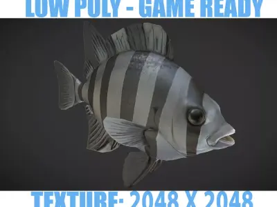Fishes 02 Low-poly 3D model