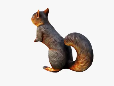 Squirrel Free 3D model
