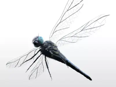 Dragonfly Insect Low-poly 3D model
