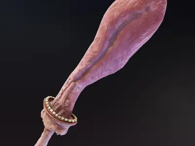 Cursed Tongue Sword Low-poly 3D model
