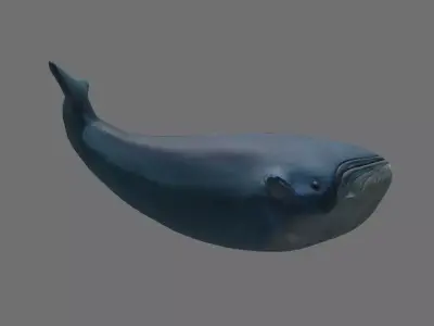 Mobile Game-Ready Low Poly Whale 3D Model Free low-poly 3D model