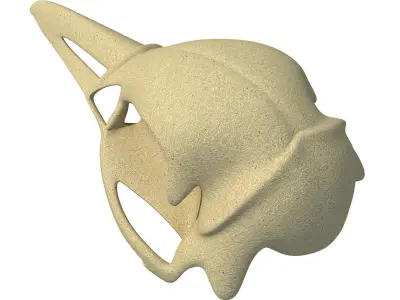 Skeleton of Bald Eagle Skull  3D model