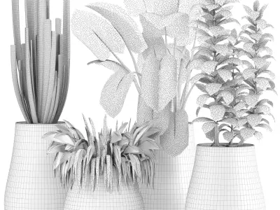 indoor plant set018 3D model