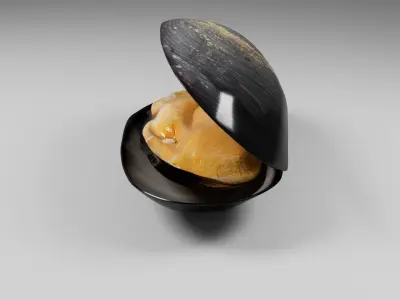 Mussel 3D model