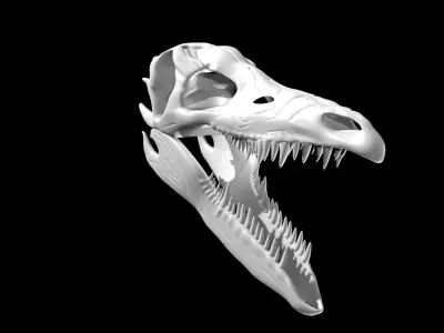 Stegosaurus skull Low-poly 3D model