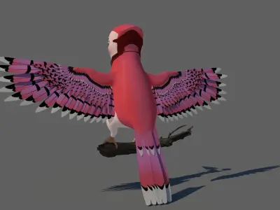 Bird Rigged Female 3D model