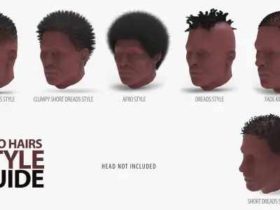 6 Afro Haircut Style 3D model