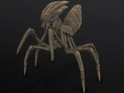 Slicer beetle Low-poly 3D model