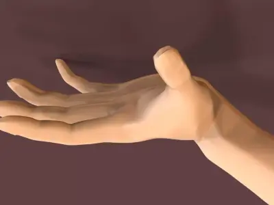 Left Hand Free 3D model