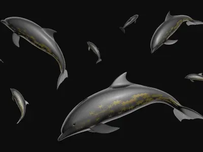 Star dolphin 3D model
