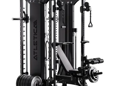 Dual Multipresse 3D model